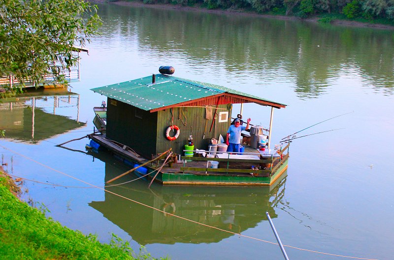 Sava, Splavarska ulica, s puno splavi, imaju i brojeve