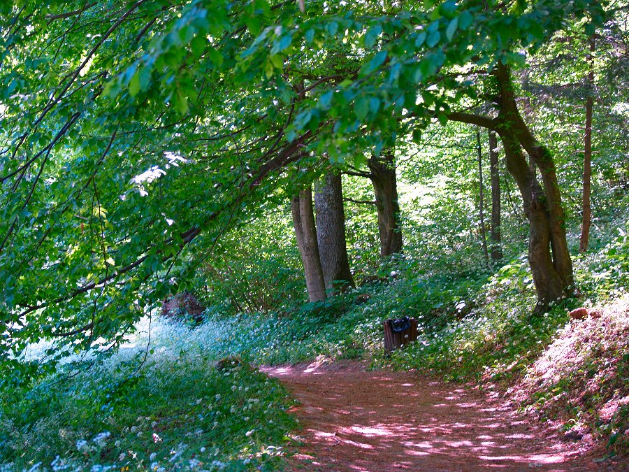 (03) Park prirode, Papuk