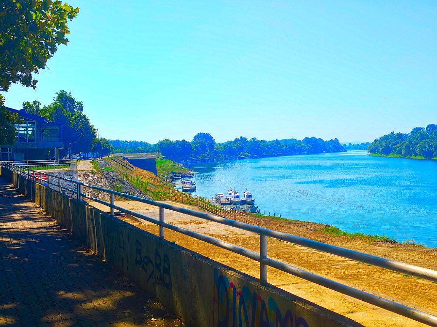 Sava