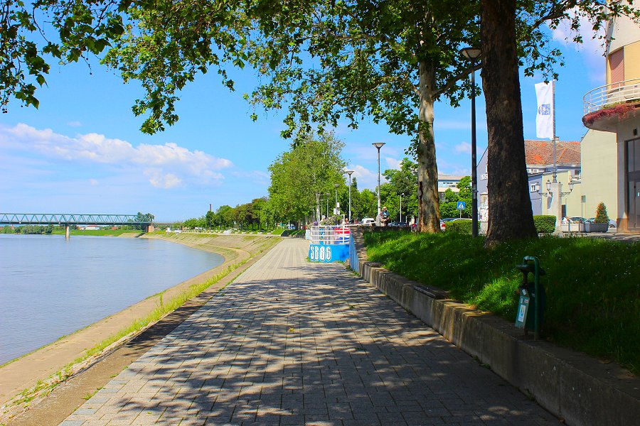 Sava (39), Slavonki Brod. Susjedi Dragovoljci Rata su stalno sa mnom..