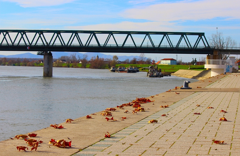 Krasna fotografija jeseni