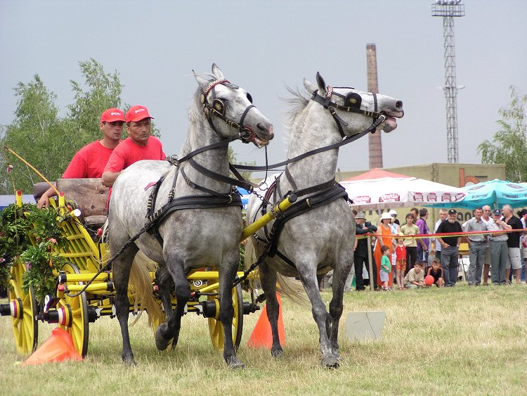 Bijelo Biserje je stara navada 