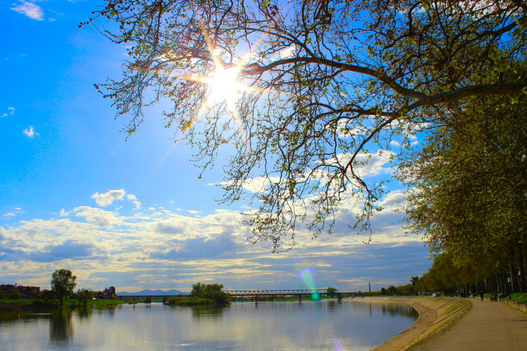 Sunce nad Savom