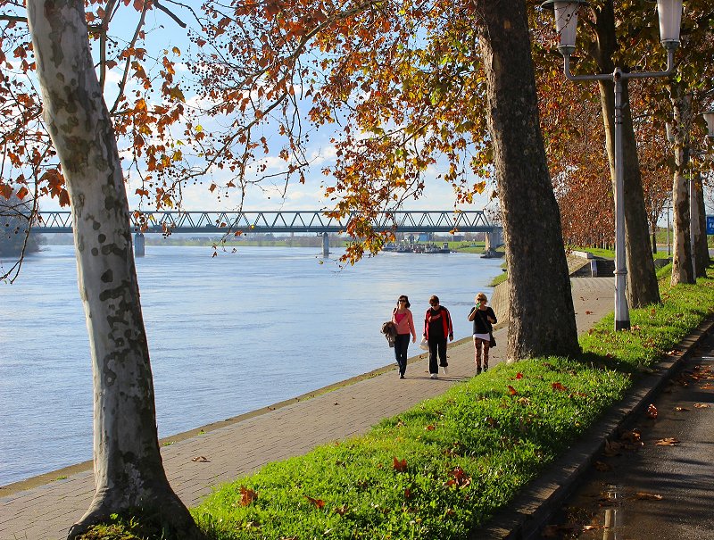 Sava, Slavonski Brod